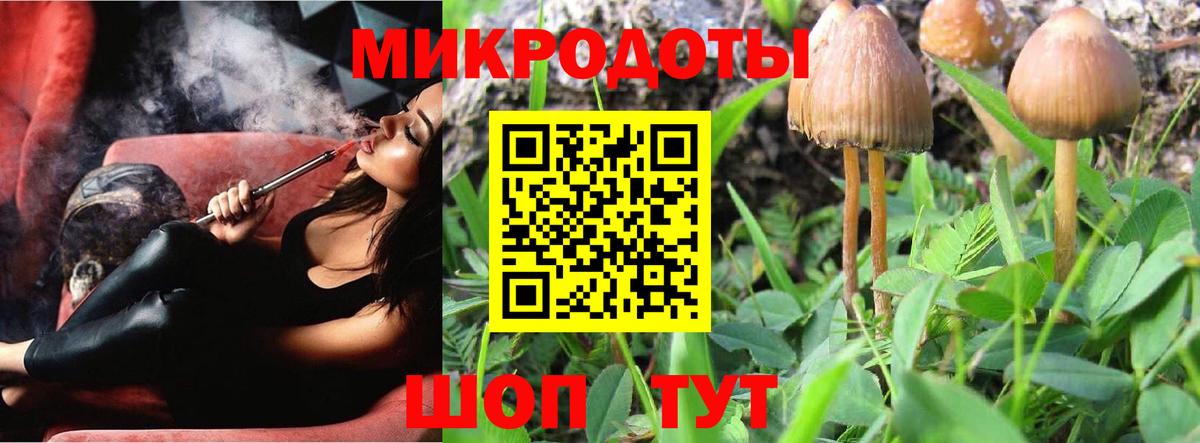 Псилоцибиновые грибы Cubensis Губкинский